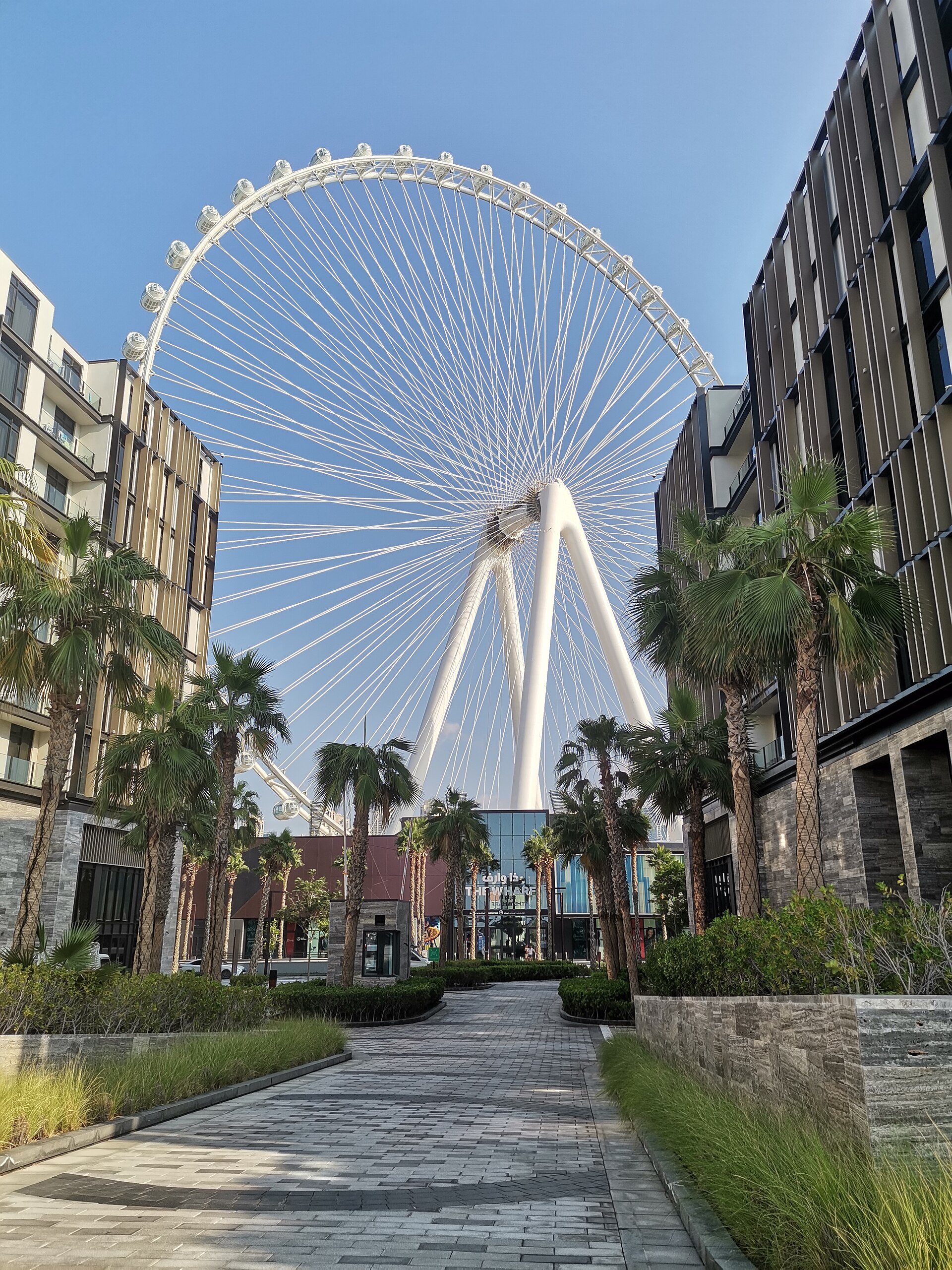 Ain Dubai above the Bluewaters Island pedestrian district